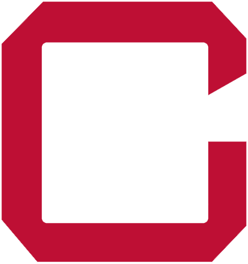 Chicago White Sox Script Logo Light Iron-on Stickers (Heat Transfers), D-Model: HTS-MLB-CWS-S1951-01
