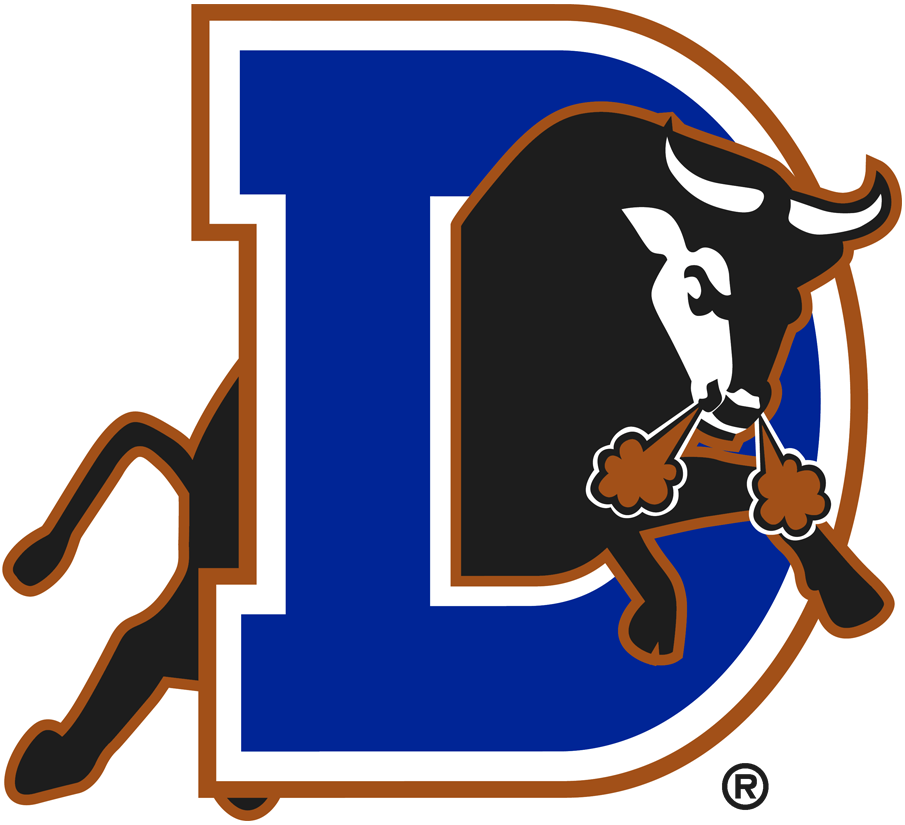 Durham Bulls Jersey Logo (2013-Pres) - Home jersey wordmark