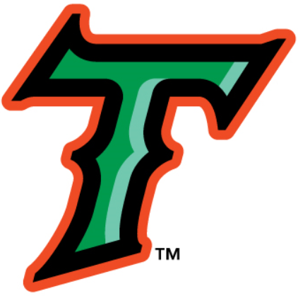 Petition · Bring back the old Norfolk Tides logo and jerseys