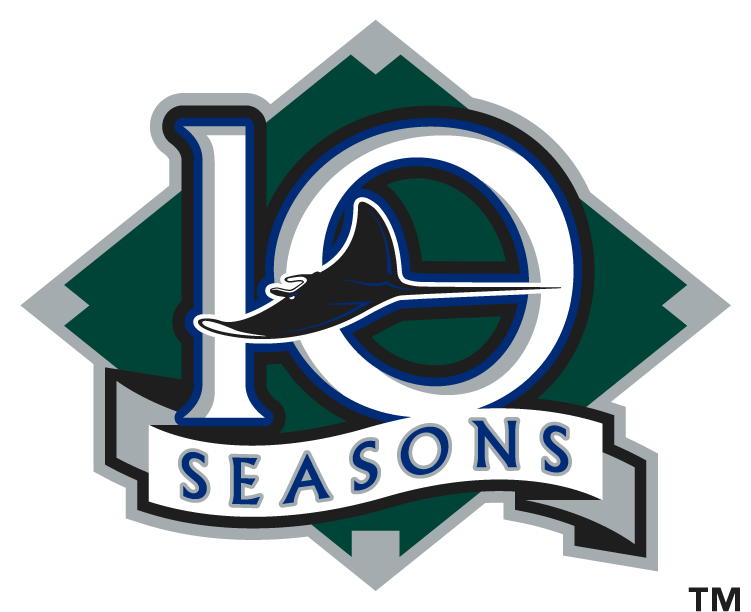 Tampa Bay Devil Rays 1998-2000 Jersey Logo v2 iron on heat transfer, Tampa  Bay Devil Rays 1998-2000 Jersey Logo iron on version 2