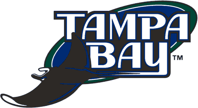 Tampa Bay Devil Rays 2005-2007 Jersey Logo iron on heat transfer, Tampa Bay  Devil Rays 2005-2007 Jersey Logo iron on